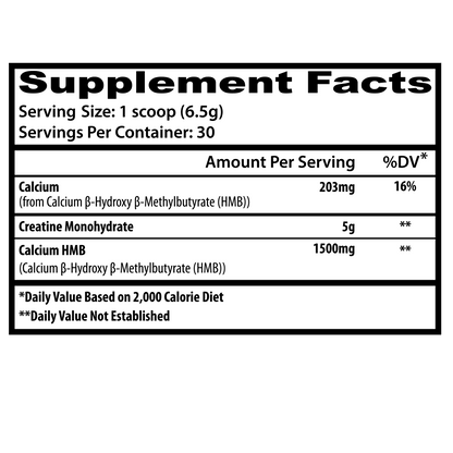 Asylum Cabinet Creatine +HMB 