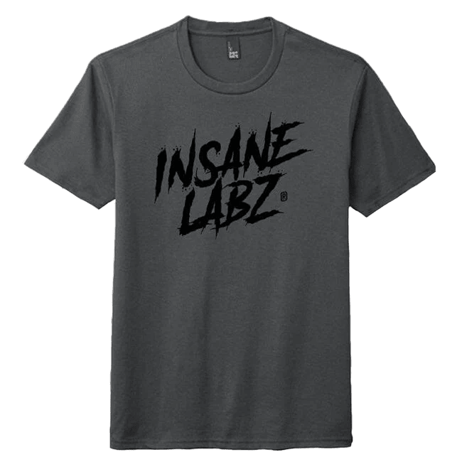 Insane Labz Logo Tee Charcoal [Black Logo] S 