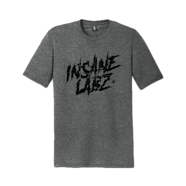 Insane Labz Shattered Logo Tee 