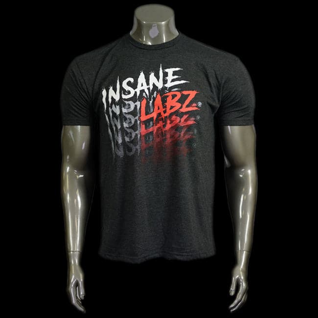Insane Labz Logo Dissolve Tee 